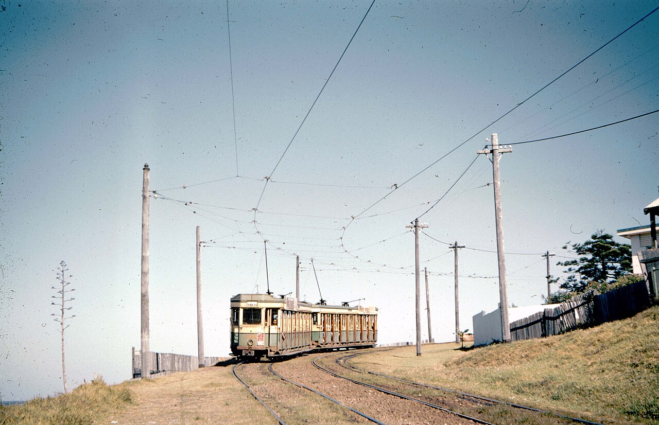 A two-car tram on a grassy track under overhead wires, Bronte, Sydney, 1960