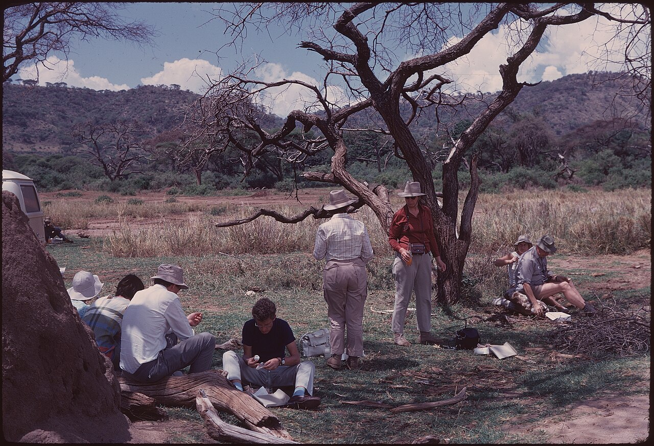 A group picnics in dry grass under a bare acacia, Manyara Park, Tanzania, 1971